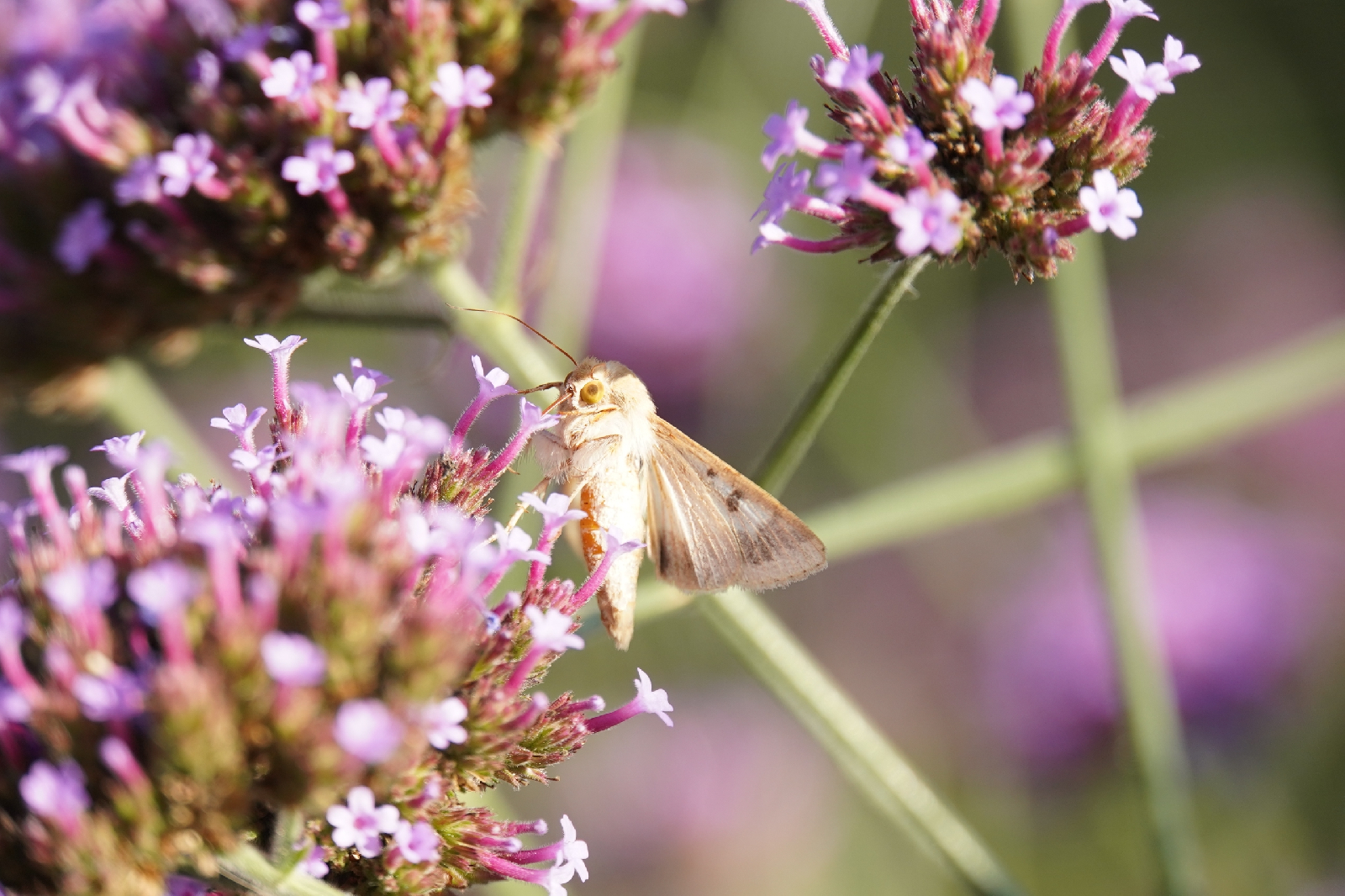 Фотоконкурс - 2025!