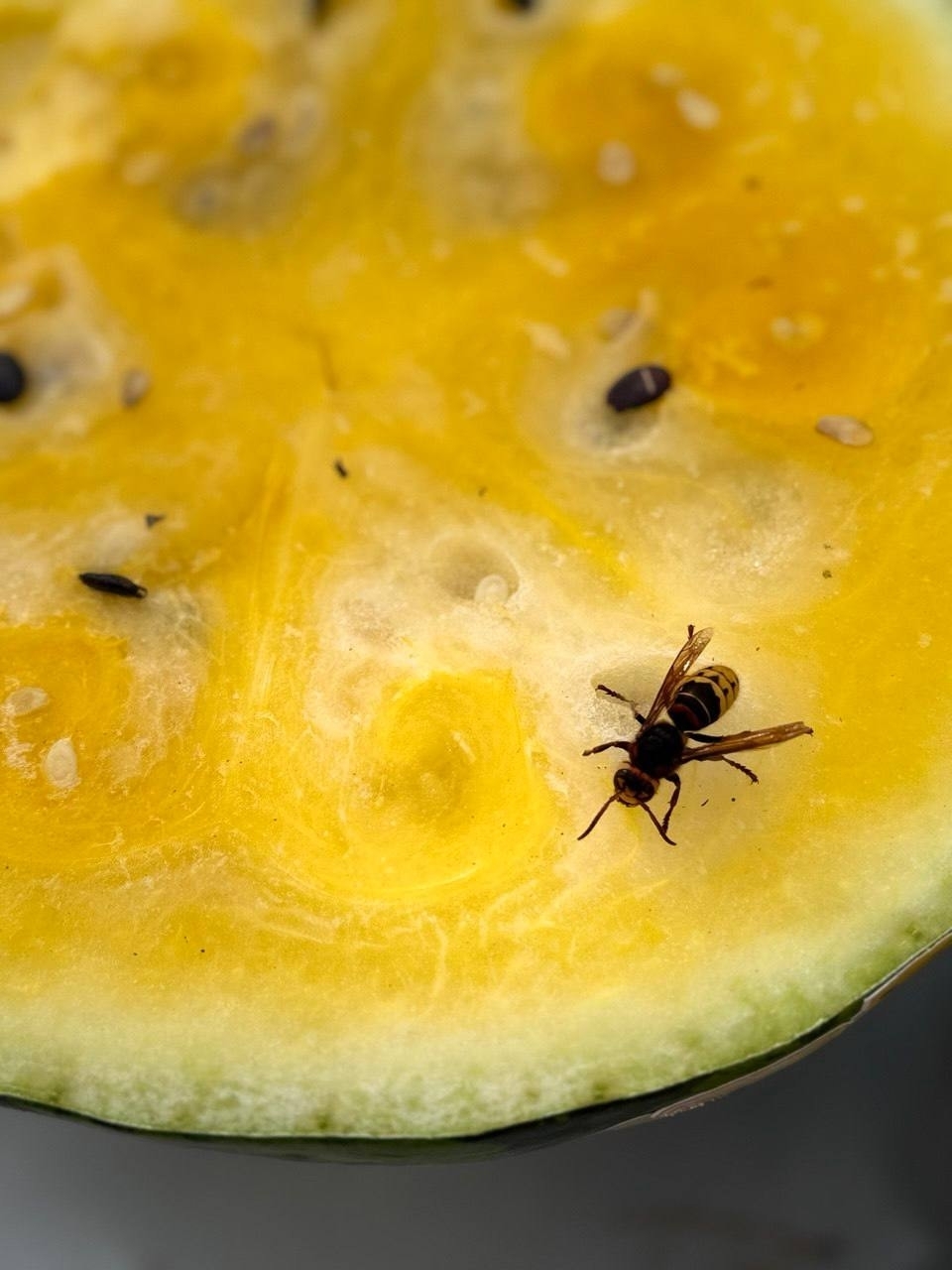 Фотоконкурс - 2025!