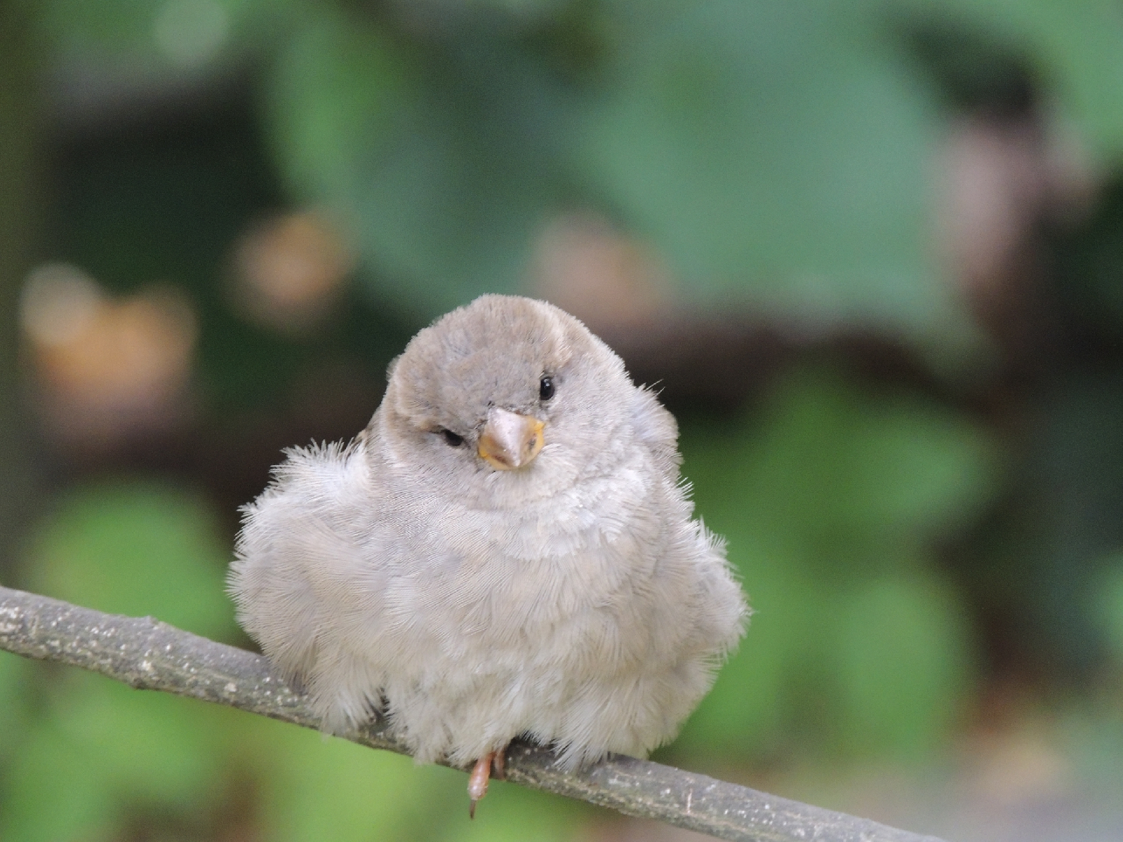 Фотоконкурс - 2025!