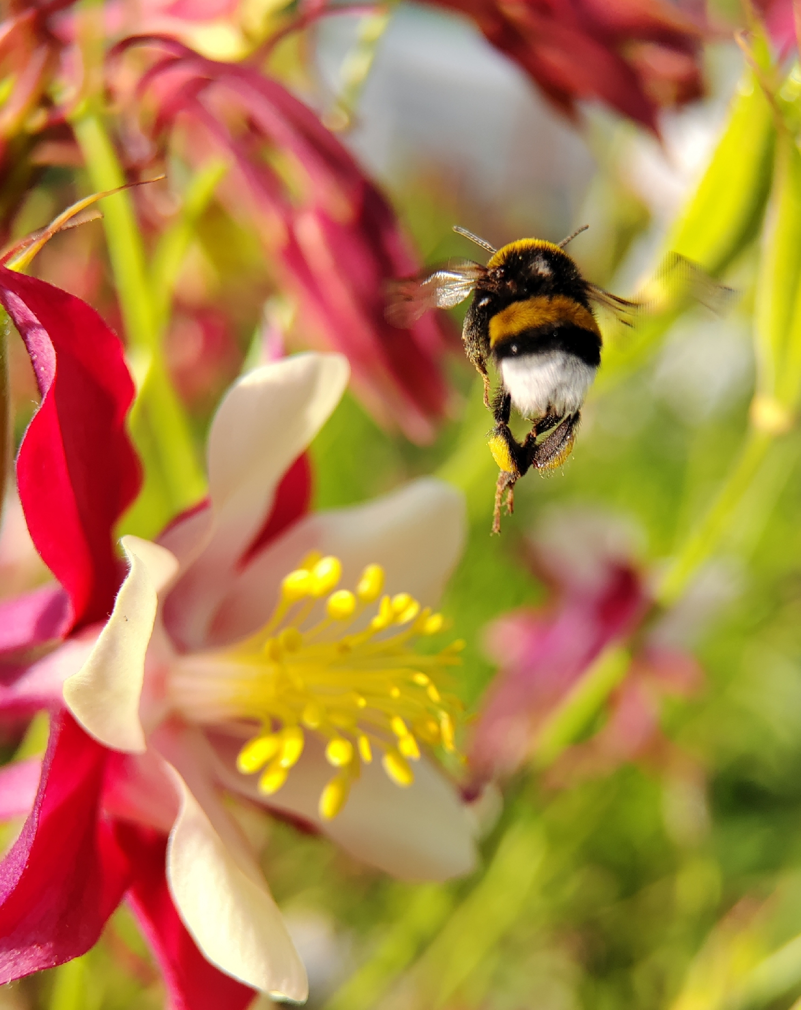 Фотоконкурс - 2025!