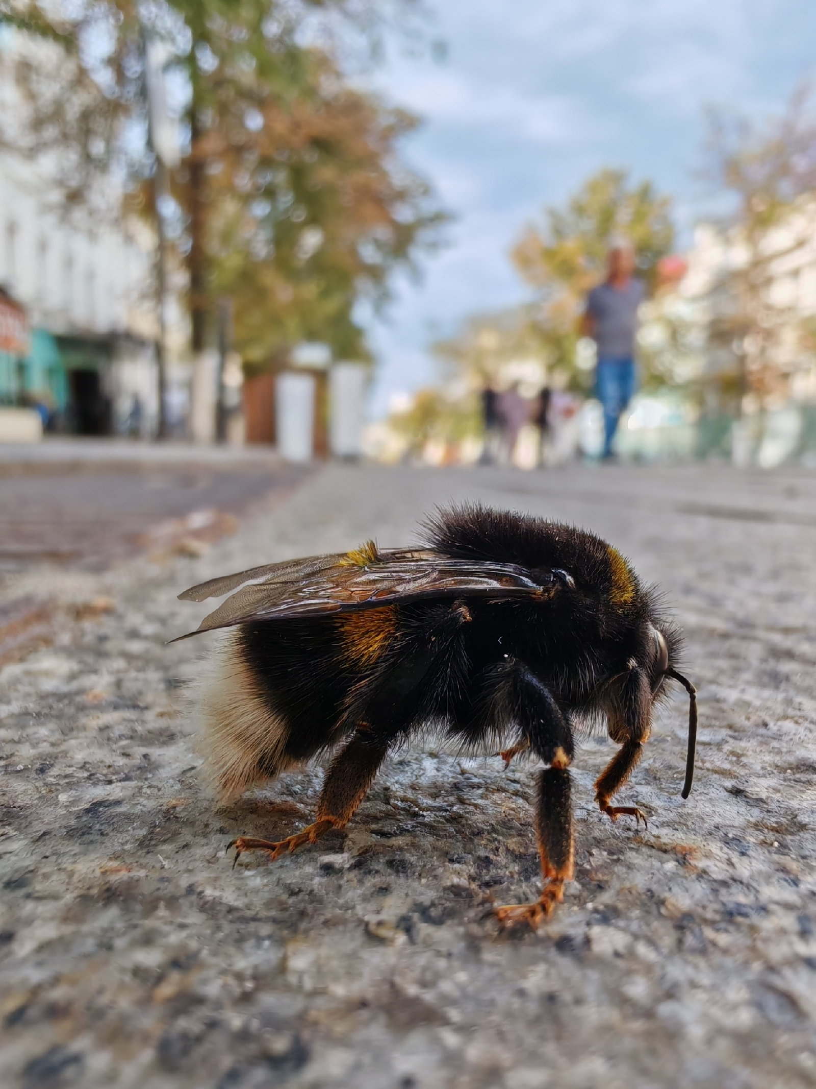 Фотоконкурс - 2025!