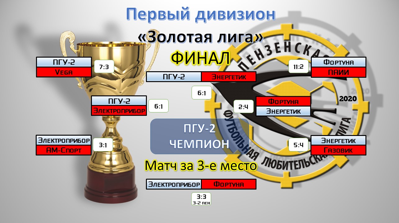 ПГУ футбол. Пензенский футбол дивизион. ПФЛЛ Пенза мини футбол. Премьер лига Пенза магазин каталог.